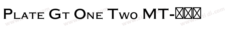 Plate Gt One Two MT字体转换